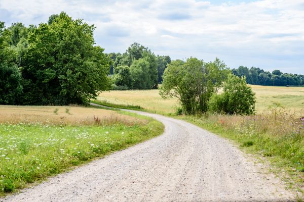 Stone Driveway Repair in Auburn