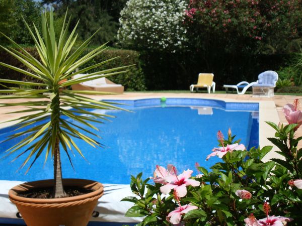 Pool Terrace Renovation in Auburn