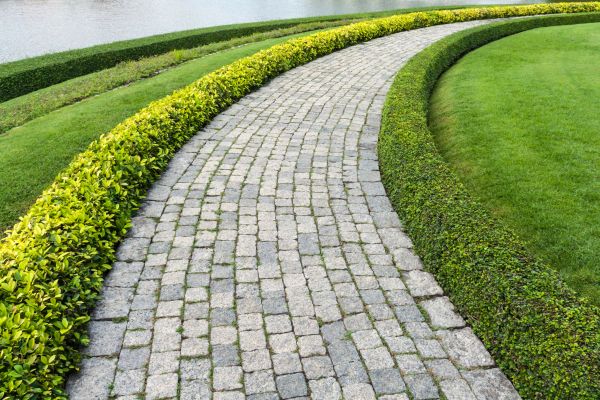 Sidewalk Pavers Installation in Auburn
